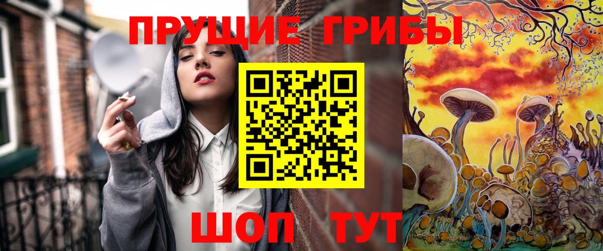 Галлюциногенные грибы Psilocybine cubensis Старая Купавна