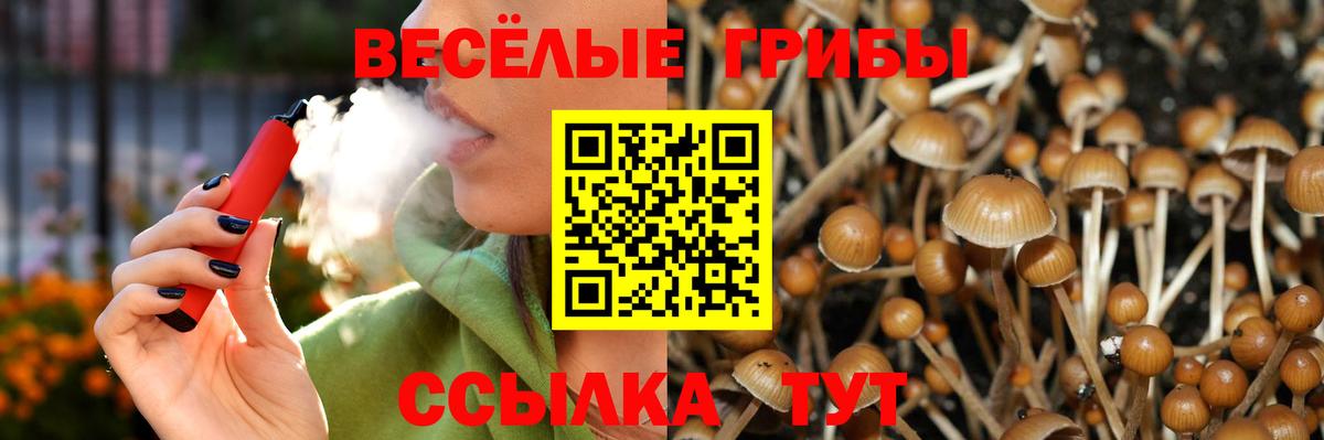 Псилоцибиновые грибы MAGIC MUSHROOMS  Вход с VPN  Старая Купавна 